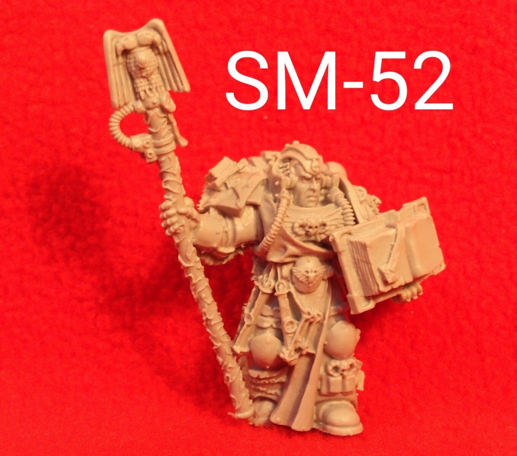 SPACE MARINE LIBRARIAN 2