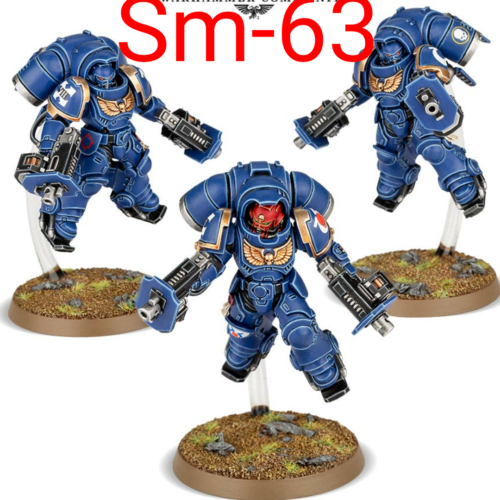 PRIMARIS SPACE MARINE INCEPTOR SQUAD