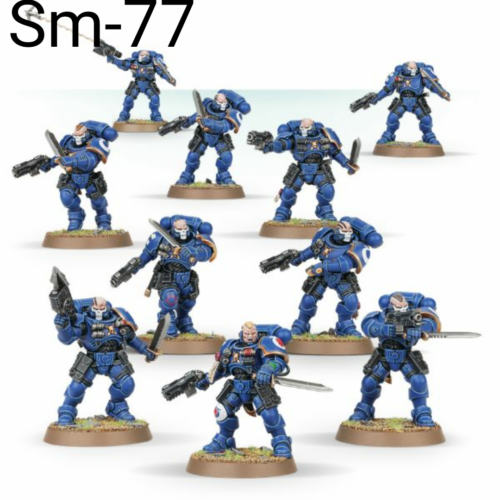 Primaris Reivers