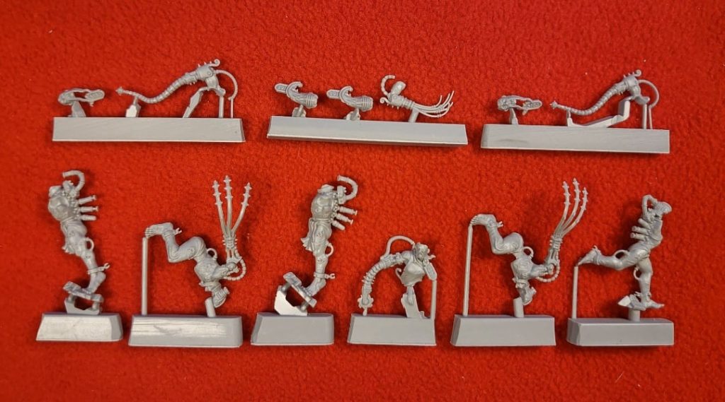 ARCO-FLAGELLANTS — изображение 2