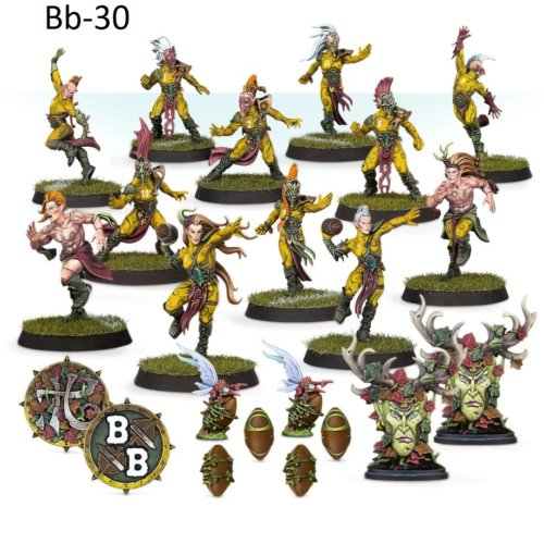The Athelorn Avengers - Wood Elf Blood Bowl Team
