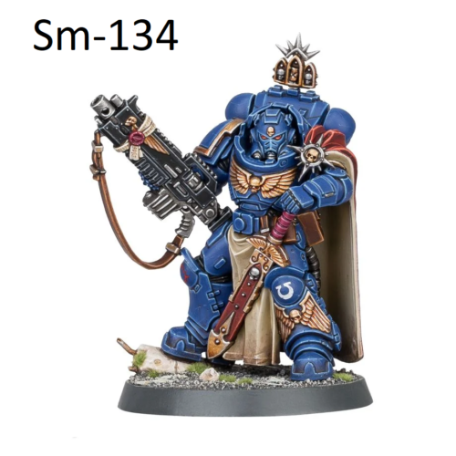 Kill Team Captain with Master-crafted Heavy Bolt Rifle