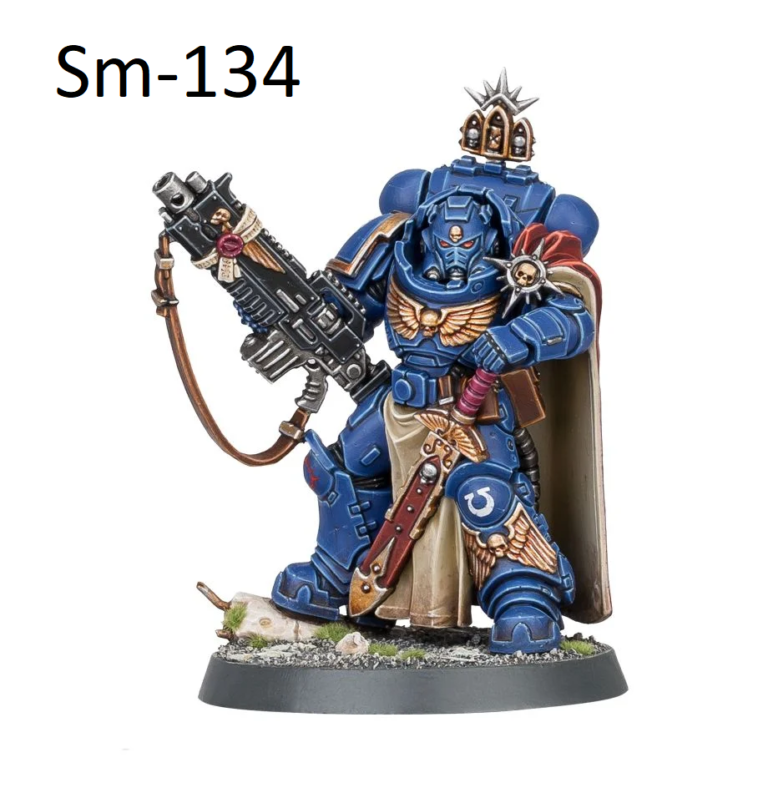 Kill Team Captain with Master-crafted Heavy Bolt Rifle