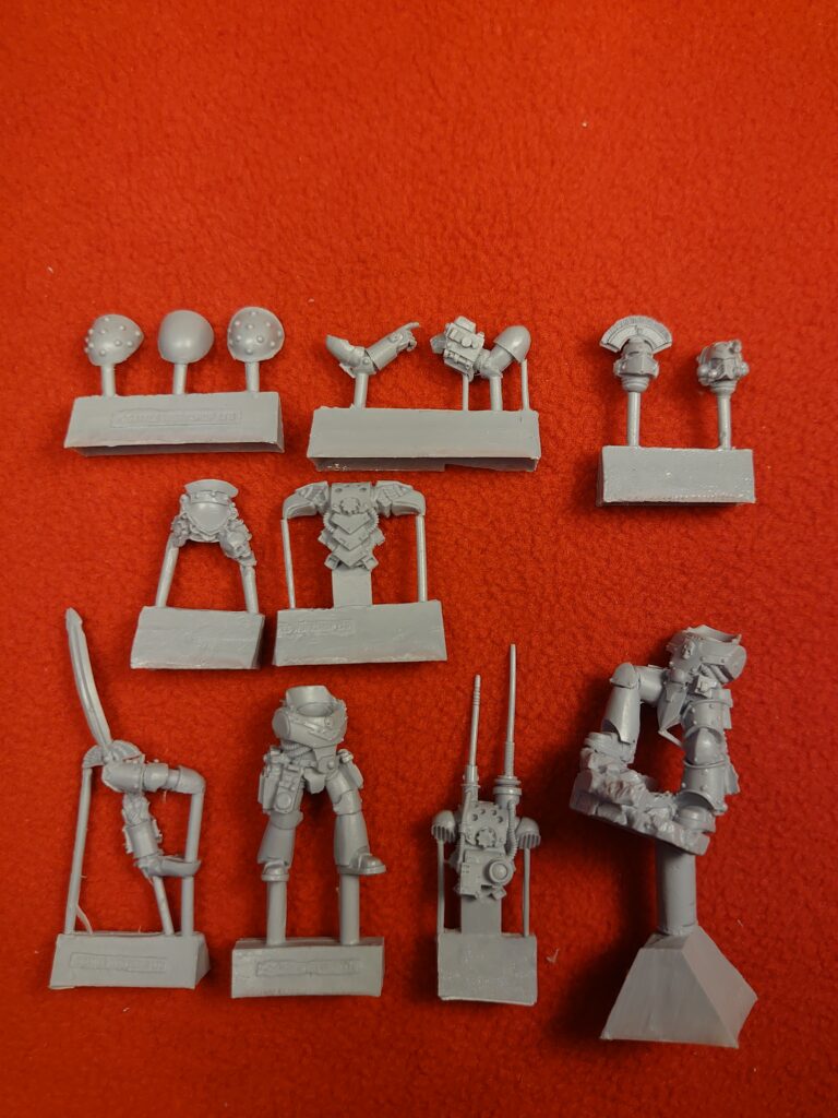 Legion Champion and Master of the Signal — изображение 2